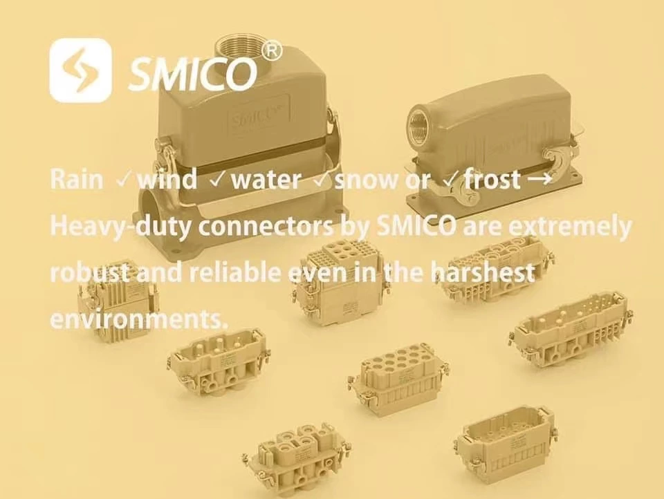 Rápido desenvolvimento do SMICO para atender à demanda do mercado interno e externo